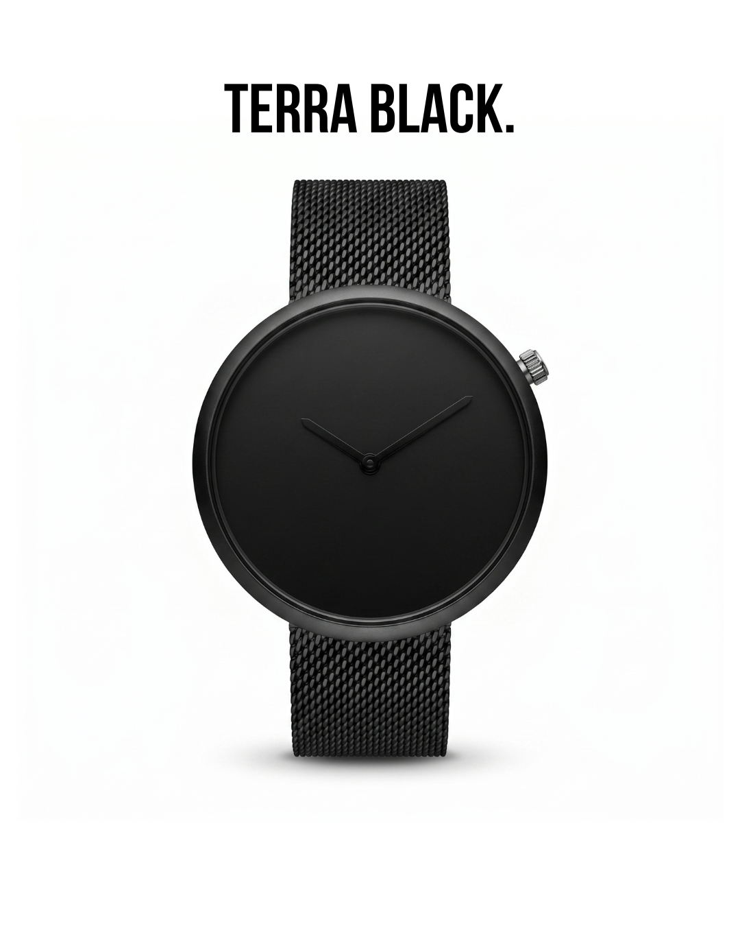 TERRA - SPECIAL OFFER